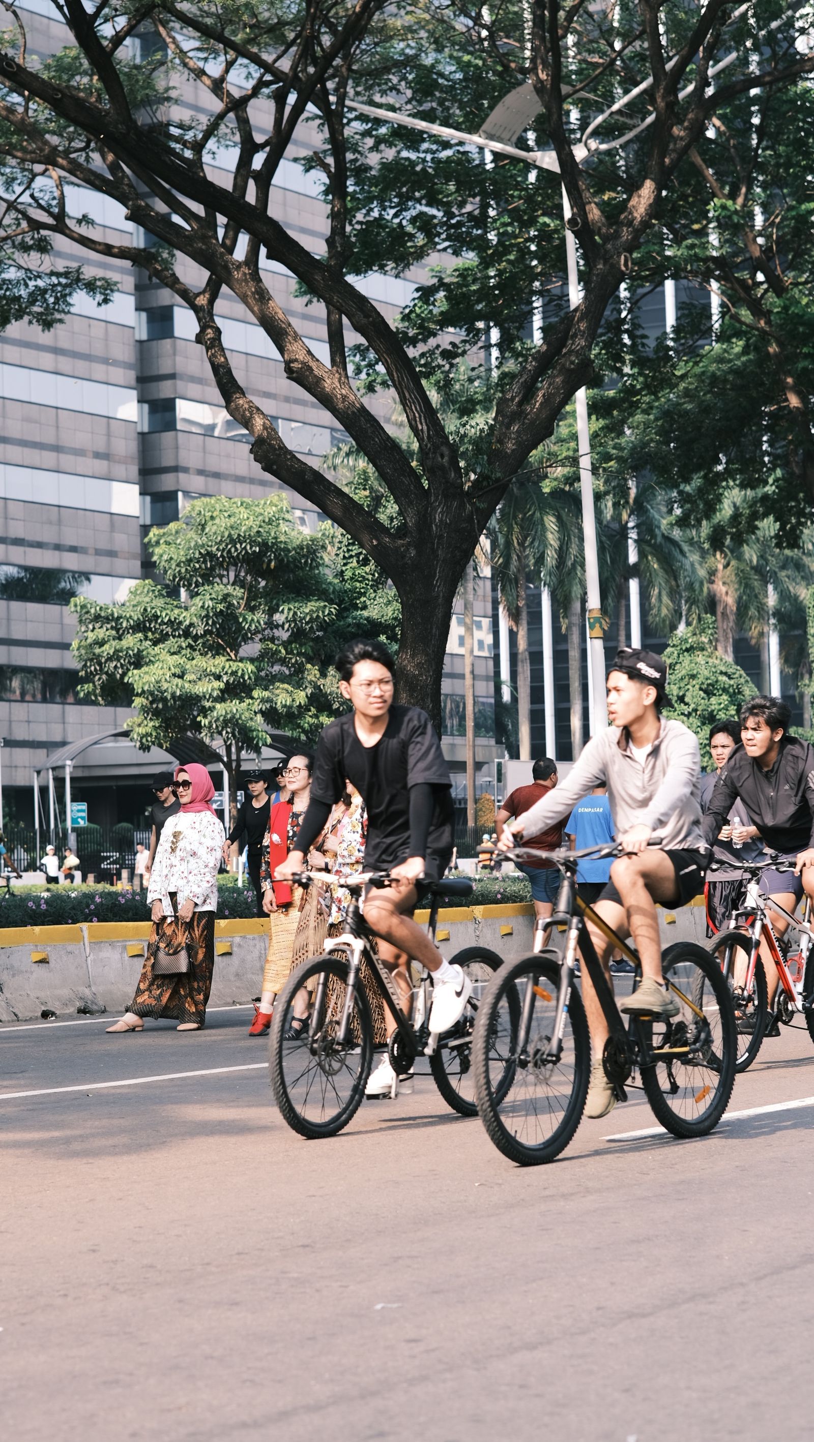 Group of adults cycling along a tree-lined city avenue